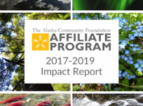 2017-2019 Affiliate Impact Report cover page
